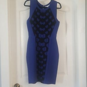 Bodycon Diane von Furstenberg dress